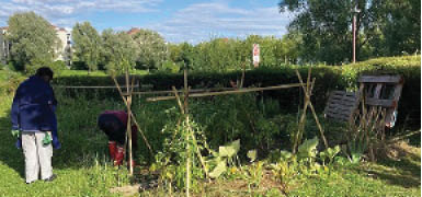 jardin_partage_bsg_au_travail.jpg