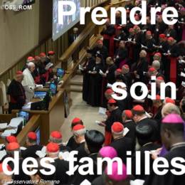 synode famille