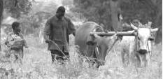 labour en Afrique
